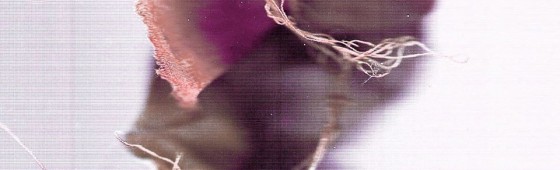 From Apes to Angels – new synthwave project