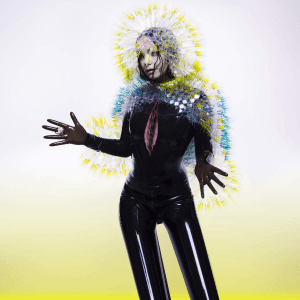 Björk_-_Vulnicura_(Official_Album_Cover)