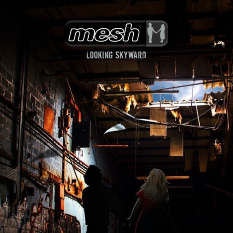 Mesh-LookingSkyward